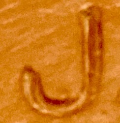 J